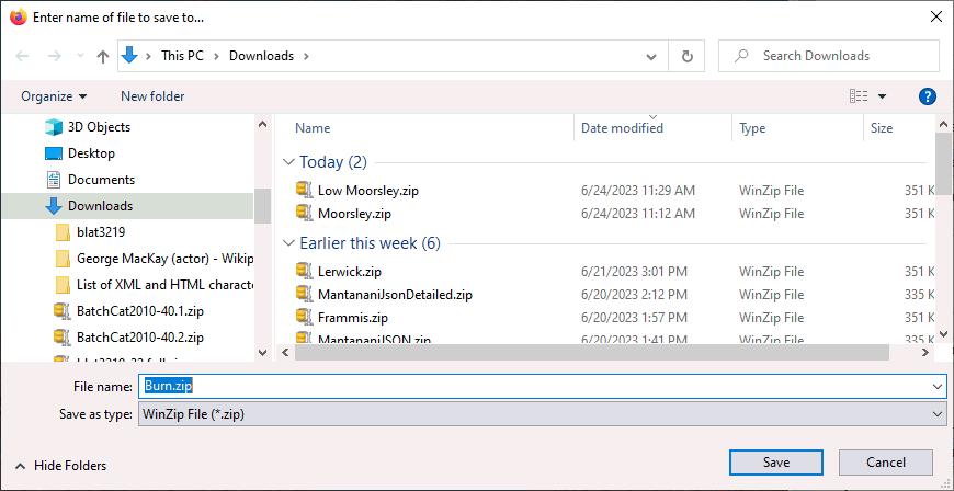 Windows file save dialog box